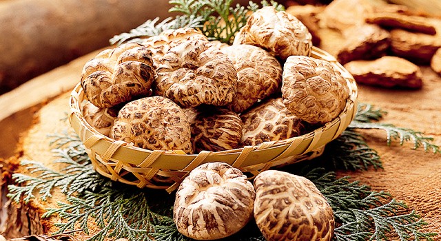 しいたけの写真